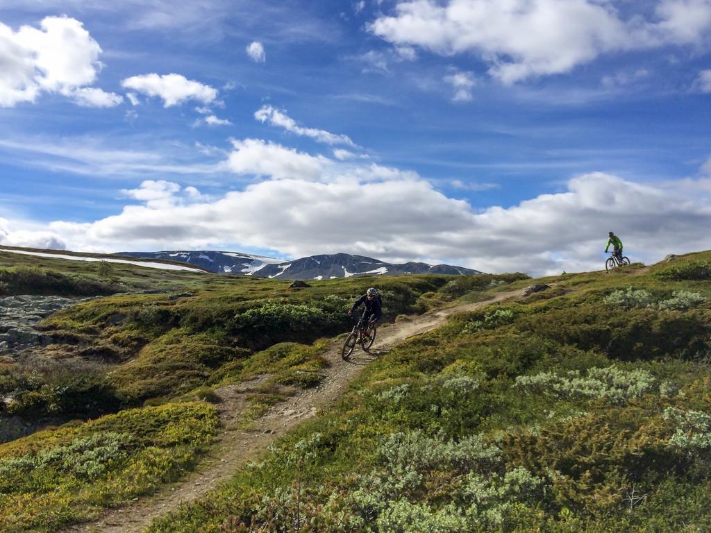 Liatoppen Fjellhotell Al Exteriér fotografie