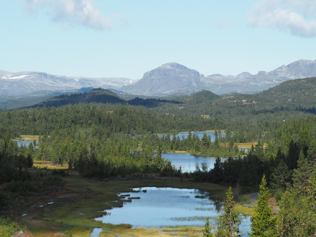 Liatoppen Fjellhotell Al Exteriér fotografie