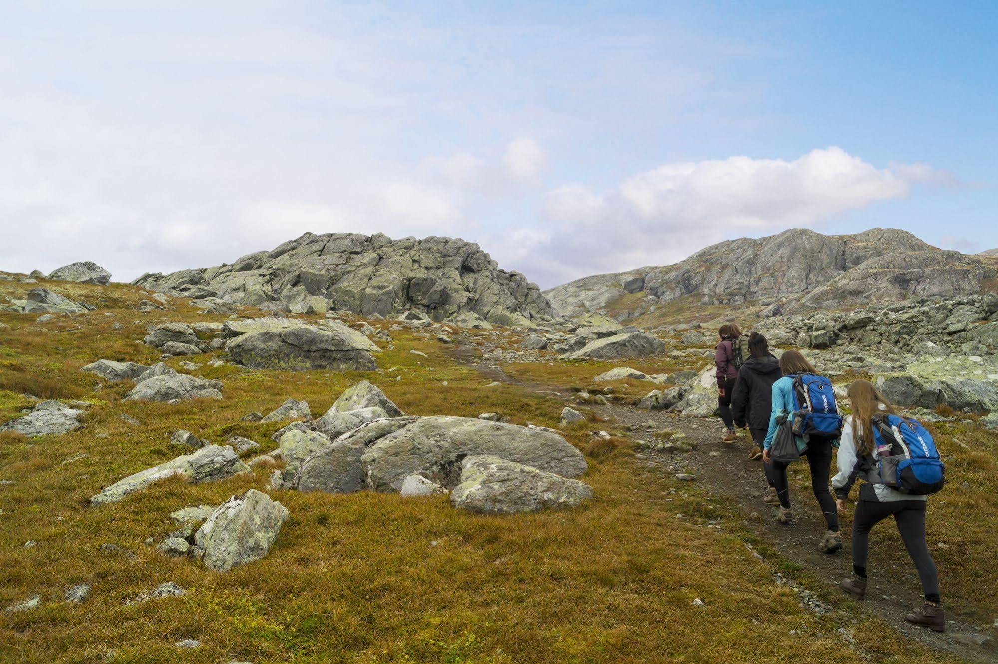 Liatoppen Fjellhotell Al Exteriér fotografie