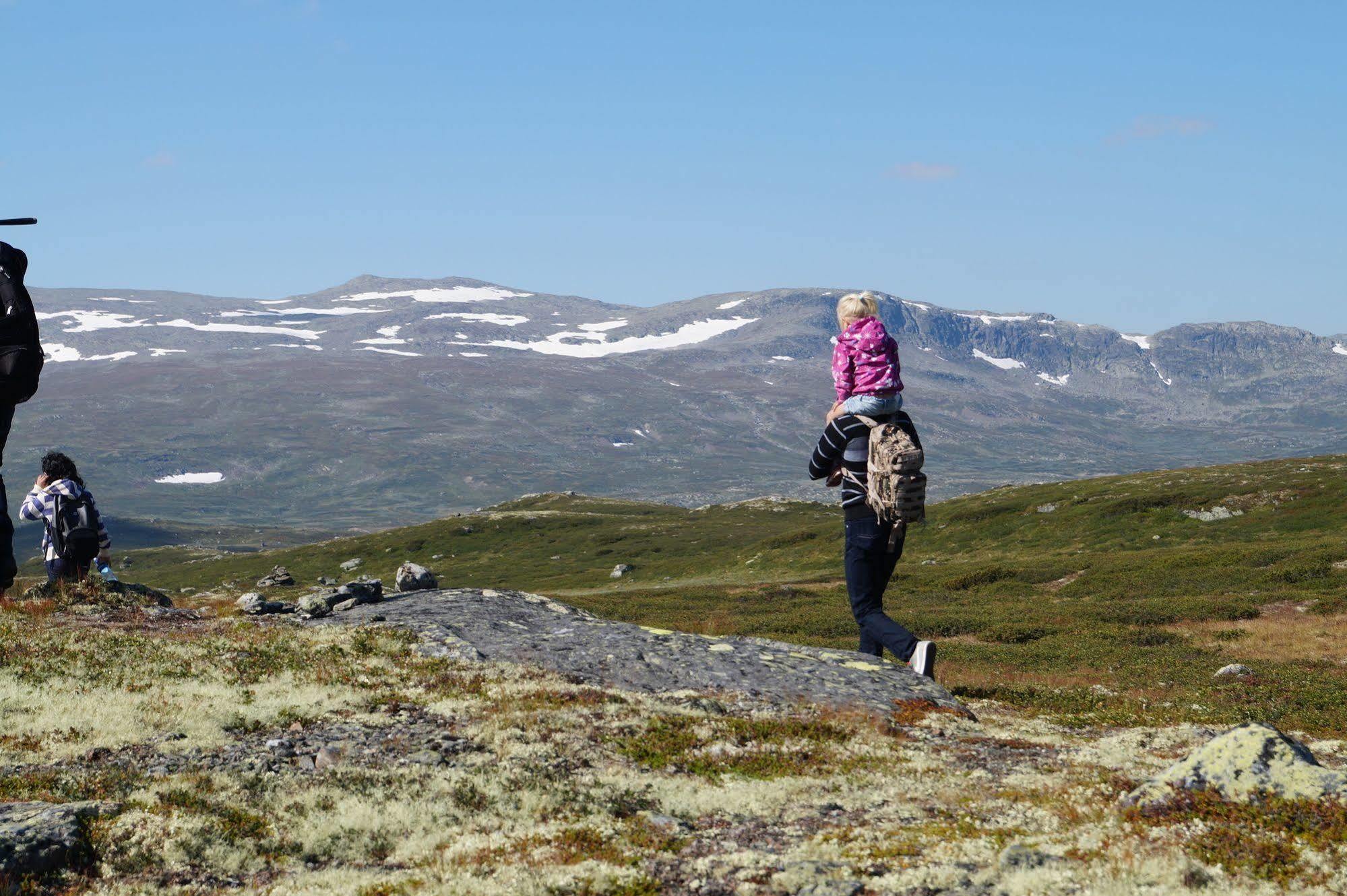 Liatoppen Fjellhotell Al Exteriér fotografie
