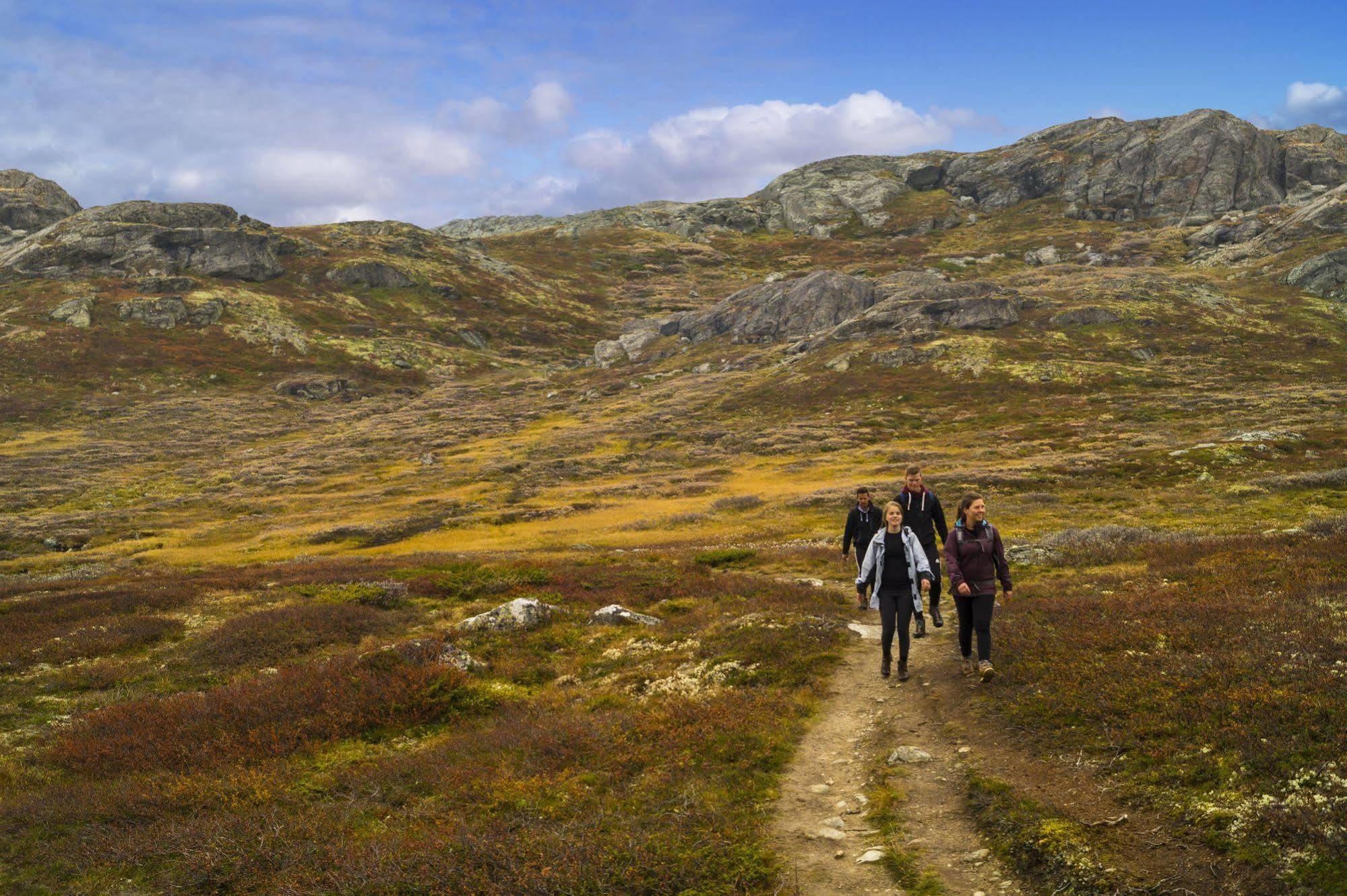 Liatoppen Fjellhotell Al Exteriér fotografie