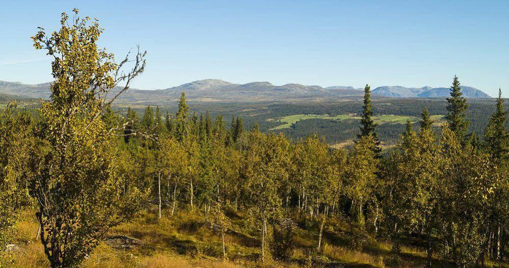 Liatoppen Fjellhotell Al Exteriér fotografie
